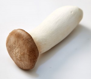 친환경 새송이버섯 400g