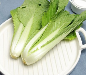 친환경 얼갈이배추 500g