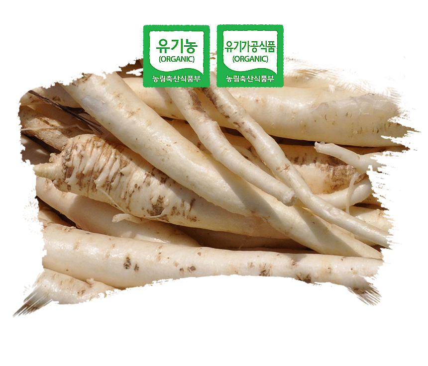 48fcf900c36fb2e3790c3813a2fd9f56_1760337898_9545.jpg 48fcf900c36fb2e3790c3813a2fd9f56_1760337898_9545.jpg