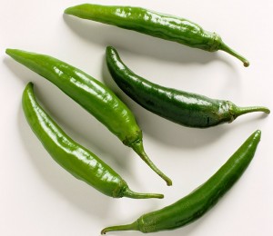 친환경 오이고추 150g