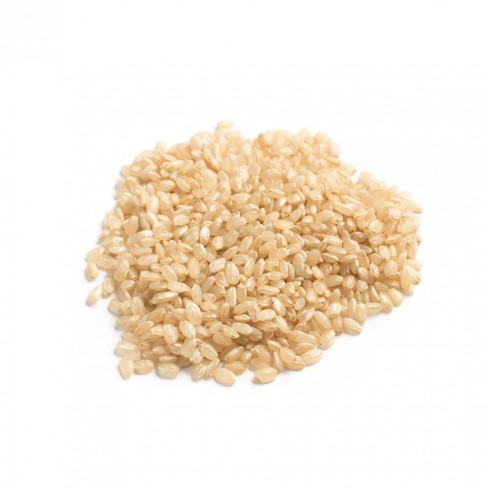 친환경 발아찰현미 1kg