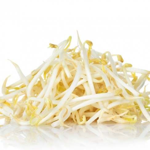 친환경 숙주나물 300g