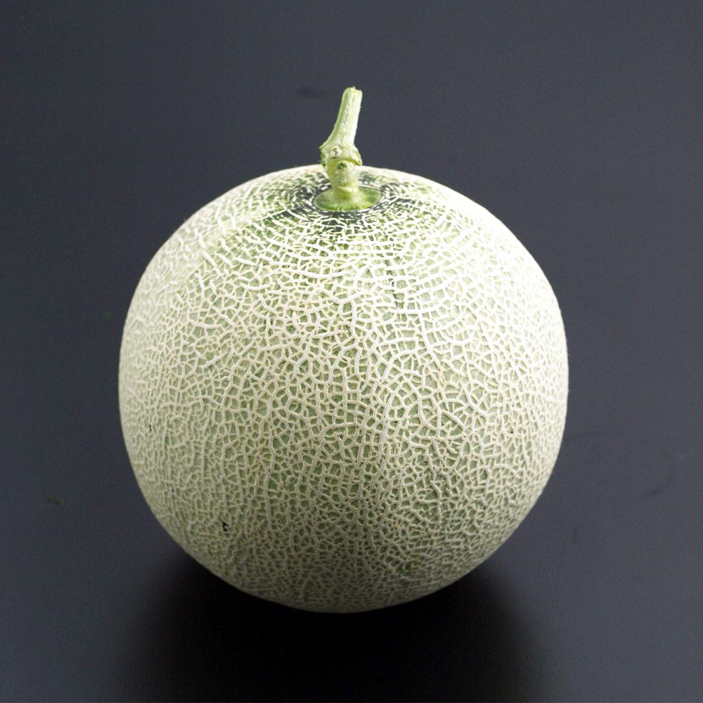 친환경 메론 1통*7/4입고