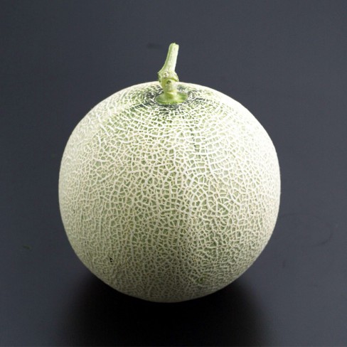 친환경 메론 1통*7/4입고
